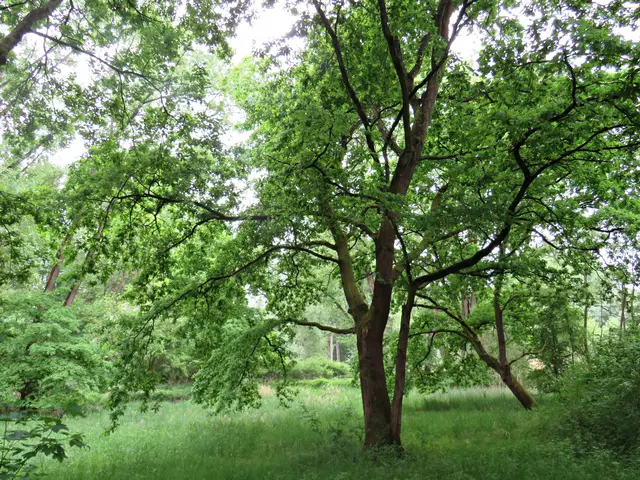 Foto: Brigitte Melder