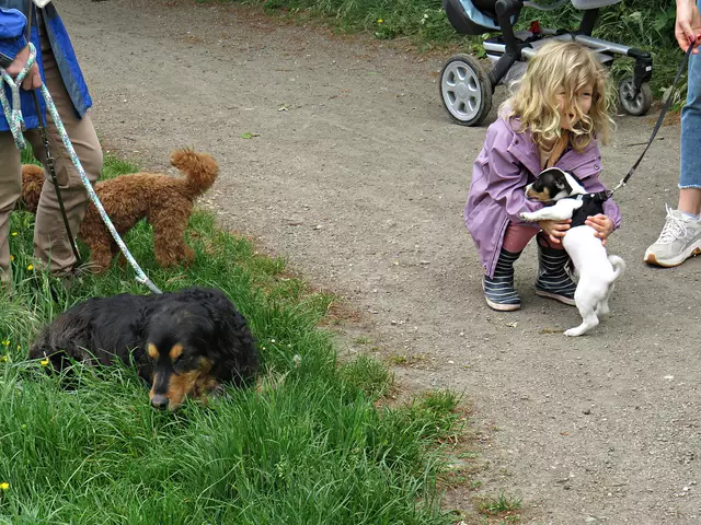 Foto: Brigitte Melder