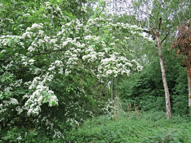 Foto: Brigitte Melder