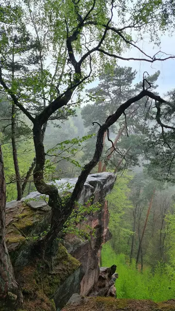 Heidenfelsen | Foto: Ich