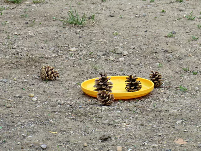 Foto: Brigitte Melder