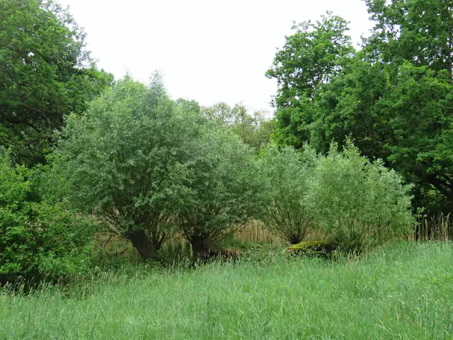 Foto: Brigitte Melder