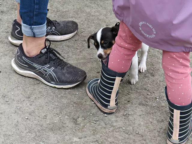 Foto: Brigitte Melder