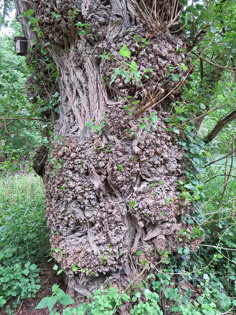 Foto: Brigitte Melder