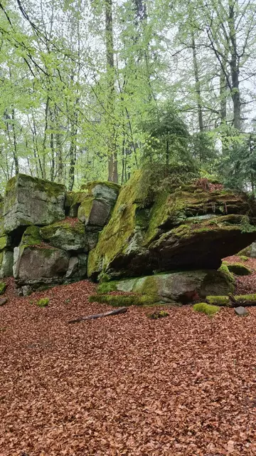 Felsen unterwegs | Foto: Ich