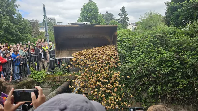 Hier gehen 1.112 Elwetritsche baden. | Foto: Eva Bender
