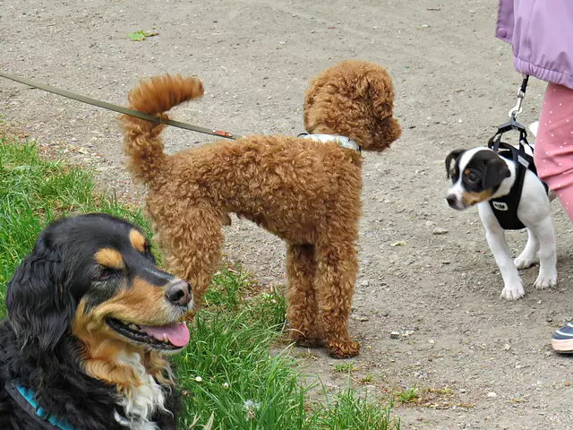 Foto: Brigitte Melder