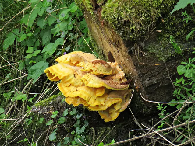 Foto: Brigitte Melder