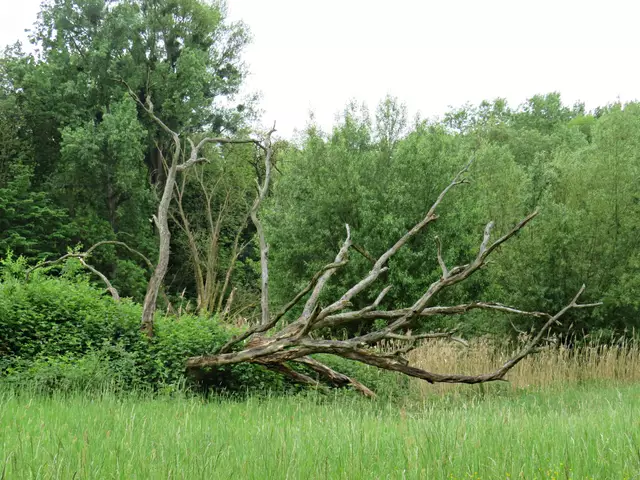 Foto: Brigitte Melder