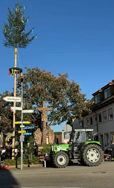 Maibaumaufstellung Zeutern | Foto: Bildautor: Gemeinde (J. Arbogast)