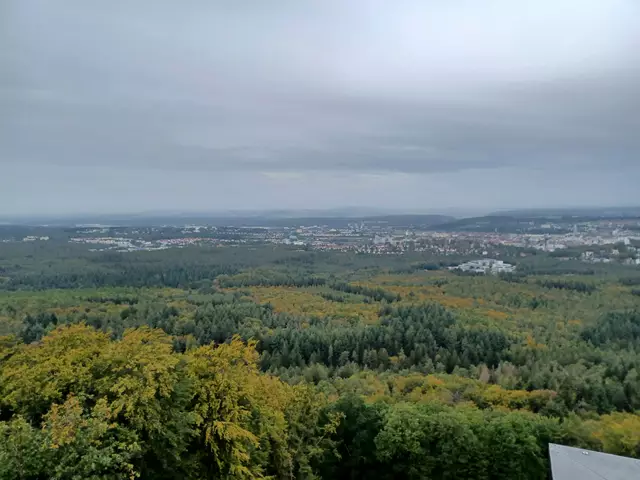 Aussicht auf KL vom Humbergturm | Foto: Monika Birkholz