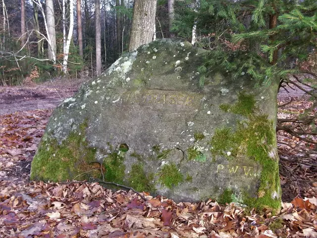 Hochstraße Ritterstein  | Foto: Nico Mößinger
