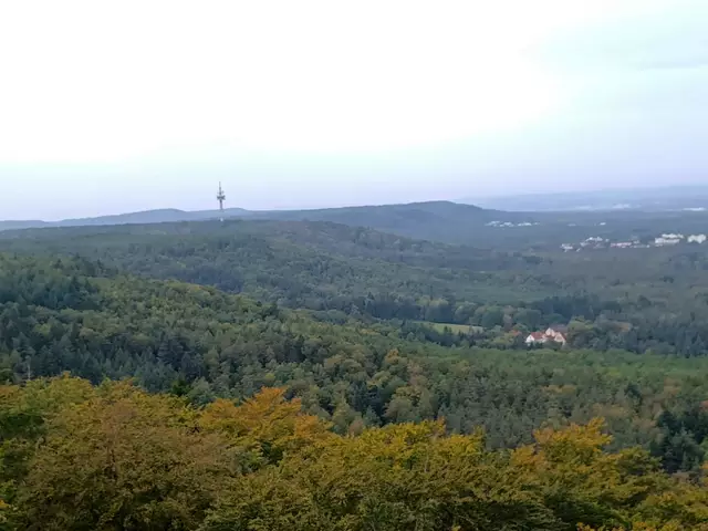 Aussicht vom Humbergturm KL | Foto: Monika Birkholz