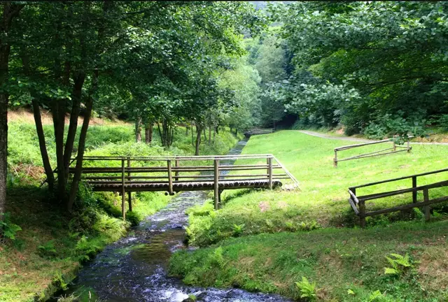Leinbachtal  | Foto: Tourismusverband Enkenbach Alsenborn