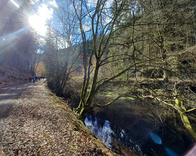 im Diemersteinertal | Foto: Monika Birkholz