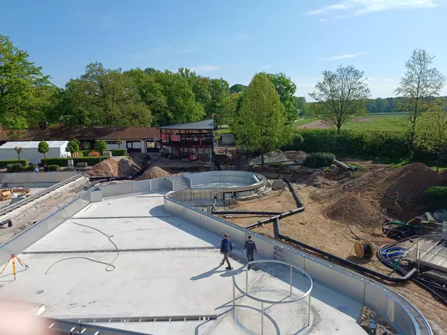 Freibad Herxheim: Bilder von der Sanierung des Freizeitbeckens | Foto: Ortsgemeinde Herxheim