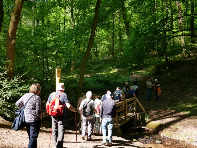 Brücke über den Bach | Foto: Ich