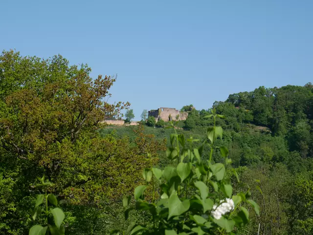 Wolfsburg | Foto: Ich