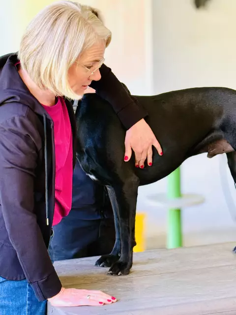 Dr. vet. med. Nadine von der Ruhren zeigt die richtige Pulsmessung. | Foto: Andreas Beck