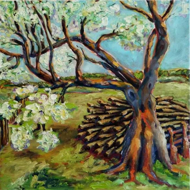 Blühender Baum 🌳, Petra Helm | Foto: Petra helm