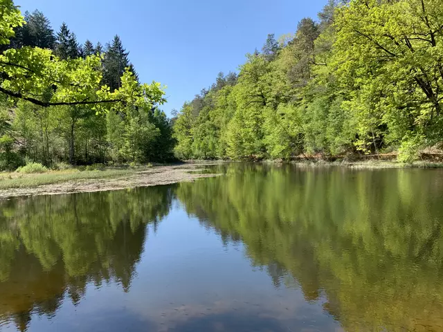 Blick auf den ersten von fünf Woogen im Walkmühltal | Foto: Peter Krietemeyer