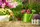 Gartenfreunde bekommen dabei wichtige Tipps | Foto: ZoomTeam/stock.adobe.com