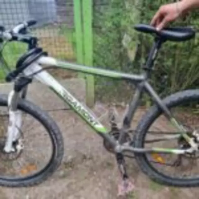Wem gehören diese Fahrräder?  Polizeipräsidium Mannheim | Foto: Polizeipräsidium Mannheim
