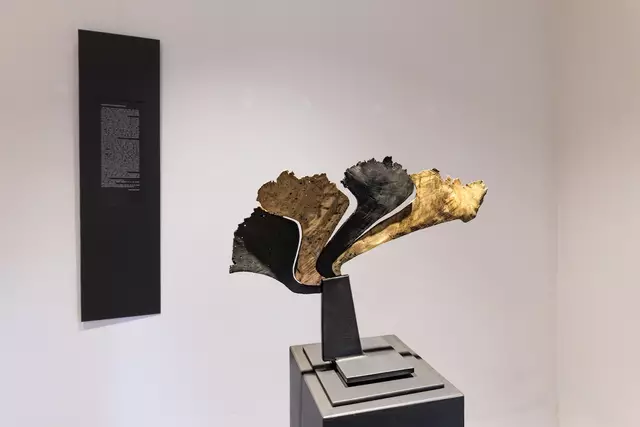 Foto: Johann-Peter Melder