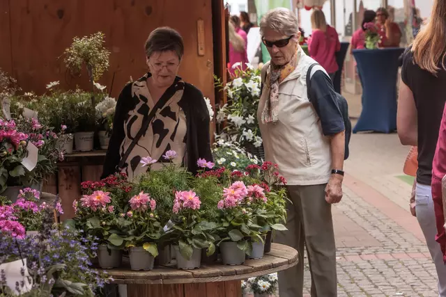 Verkaufsoffener Sonntag mit Gewerbeschau im Dorschbergzentrum  - Sonntag auf dem Maimarkt Wörth | Foto: Paul Needham