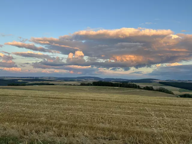 Blick auf den Donnersberg von der Lettweilerer Höhe  | Foto: Arno Mohr 