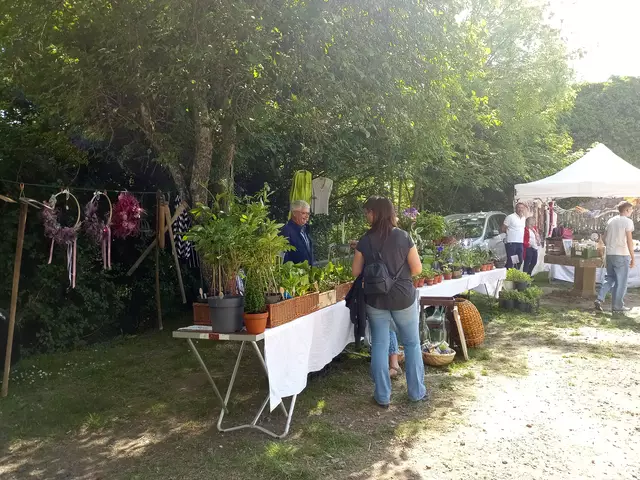 Pflanzen, Deko, Schals und  mehr | Foto: Anja Stemler