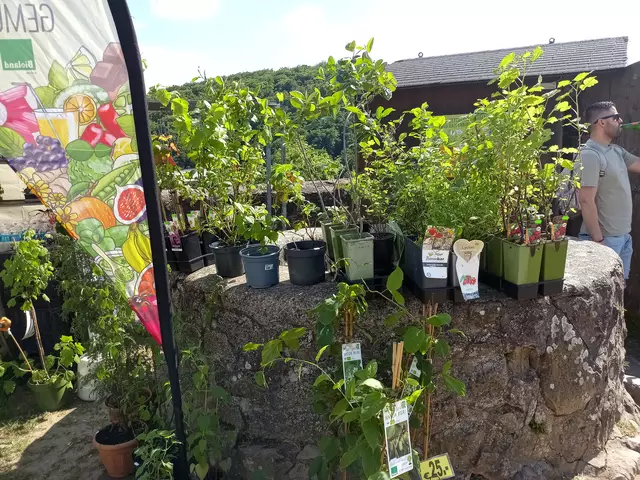 Pflanzen, Pflanzen und Pflanzen | Foto: Anja Stemler