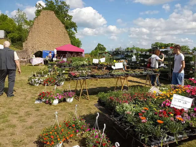 Blühende Pflanzen auf der Unterburg | Foto: Anja Stemler