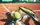 Beim TuS Bolanden ist jetzt auch Tennis möglich | Foto: bobex73/stock.adobe.com