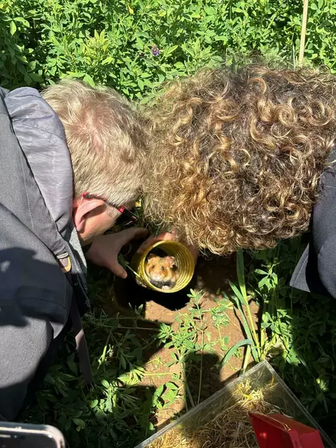 Und Tschüß | Foto: Wolfgang Neuberth