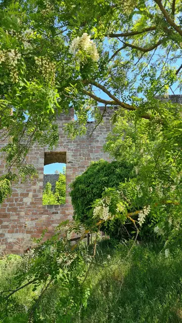 Wolfsburg | Foto: Ich