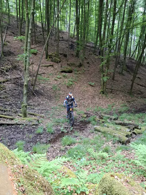 Am Bockenbrunnen | Foto: Ich
