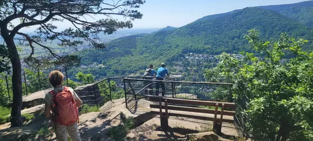 Bergstein | Foto: Ich