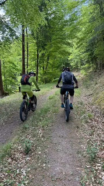 Immer wieder Forstwege zwischendrin, Zeit zum erzählen | Foto: C. Eicher