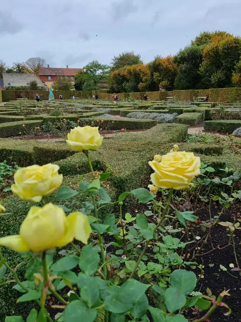 Königliche Gärten | Foto: © www.jowapress.de