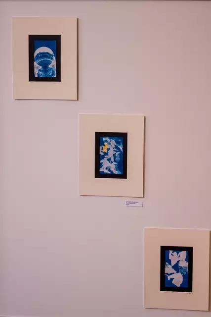Foto: Johann-Peter Melder