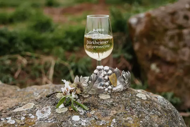 Die Stadt Bad Dürkheim sucht ihre Weinhoheit 2025/2026.  | Foto: Lena Geib Photographie