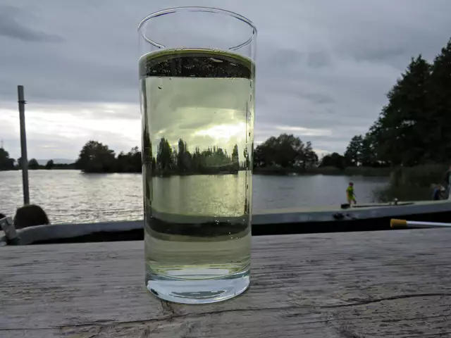 Rieslingschorle am Abend erquickend und labend | Foto: Brigitte Melder