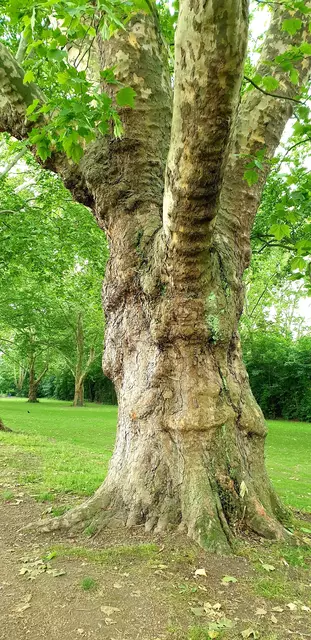 Foto: Karin Bandomir