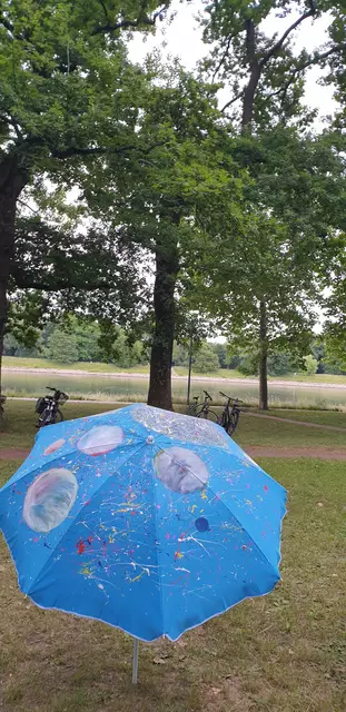 Foto: Karin Bandomir