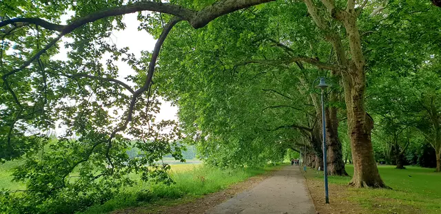 Foto: Karin Bandomir