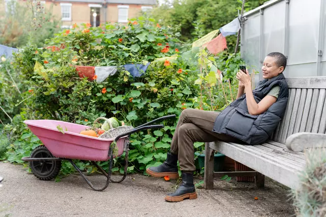 Gemüsegarten Symbolbild | Foto: Cultura Creative/stock.adobe.com