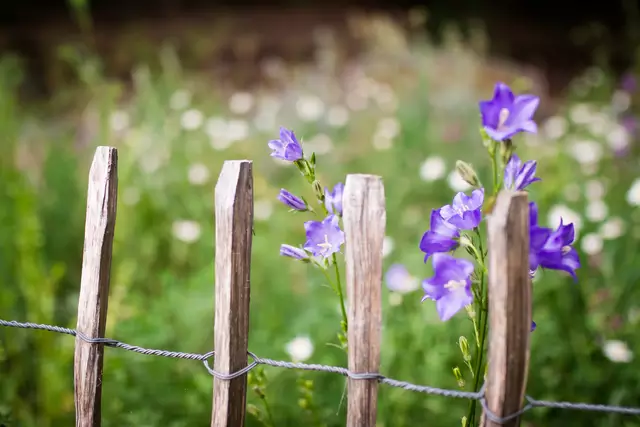 Am Sonntag, 15. Juni, ist Tag der offenen Gartentür. Zwei geheime Gartenparadiese aus dem Kreis Bad Dürkheim sind in diesem Jahr dabei. | Foto: Cornelia Bauer