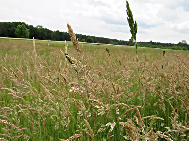 Foto: Brigitte Melder