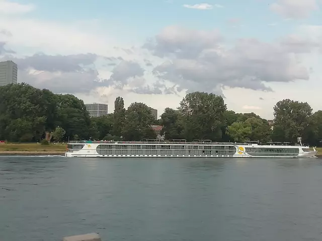 Blick auf Reisinsel und moderne Architektur am linken und rechten Rheinufer | Foto: Julia Glöckner